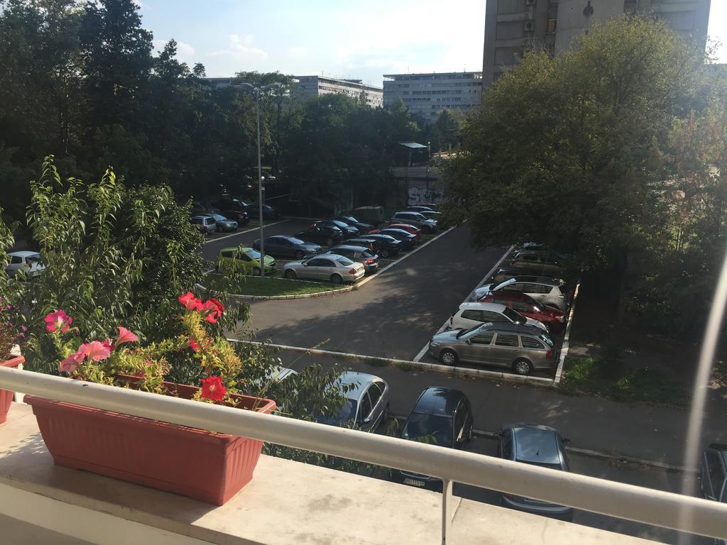 Lovely Apartment Belgrade Extérieur photo